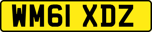 WM61XDZ