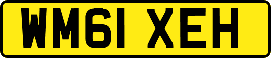 WM61XEH