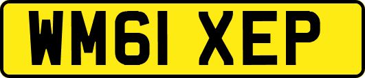 WM61XEP