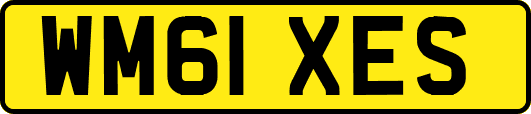 WM61XES