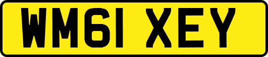 WM61XEY