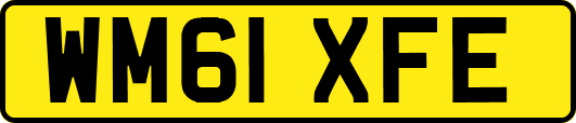 WM61XFE