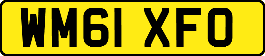 WM61XFO