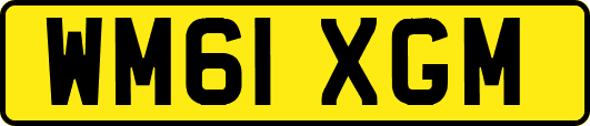 WM61XGM