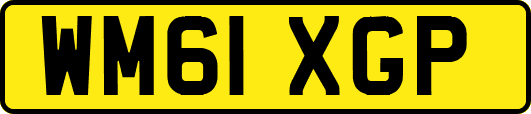 WM61XGP