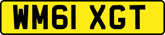 WM61XGT