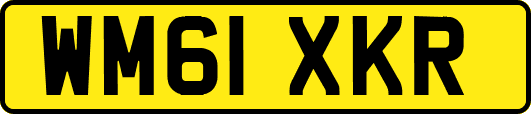 WM61XKR