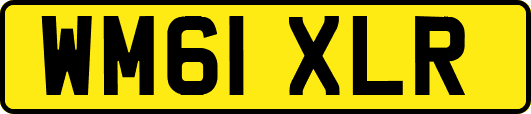 WM61XLR