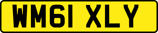 WM61XLY