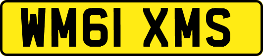 WM61XMS