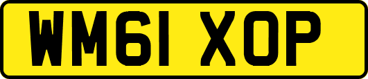 WM61XOP