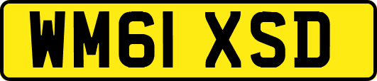 WM61XSD