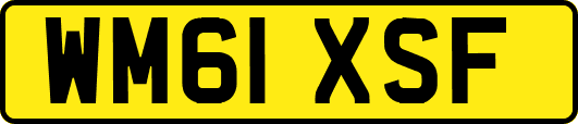 WM61XSF