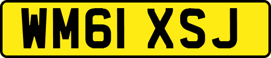 WM61XSJ