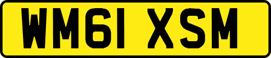 WM61XSM