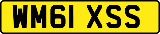 WM61XSS