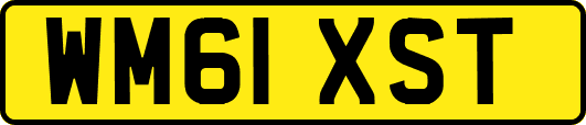 WM61XST