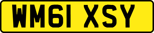 WM61XSY