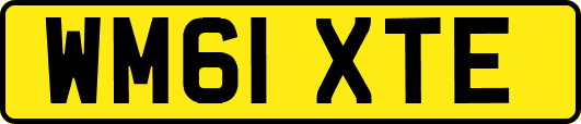 WM61XTE