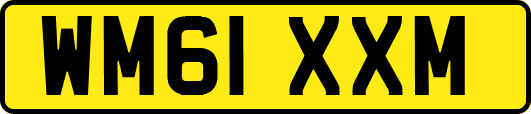 WM61XXM