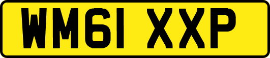 WM61XXP