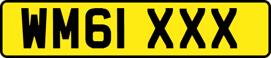 WM61XXX