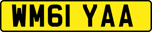 WM61YAA