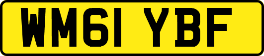 WM61YBF