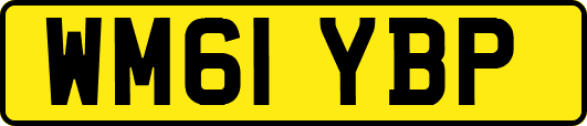 WM61YBP