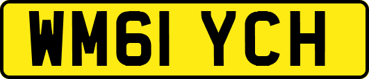 WM61YCH