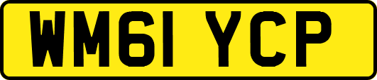 WM61YCP