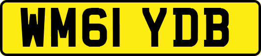 WM61YDB