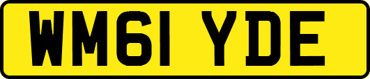 WM61YDE