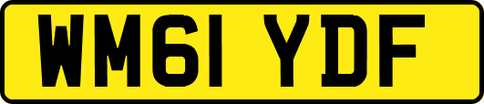 WM61YDF