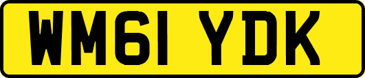 WM61YDK
