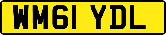 WM61YDL