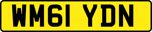 WM61YDN