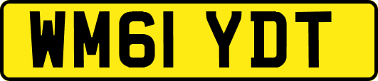 WM61YDT
