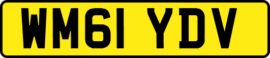 WM61YDV