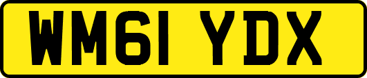 WM61YDX
