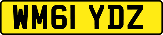 WM61YDZ