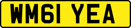WM61YEA