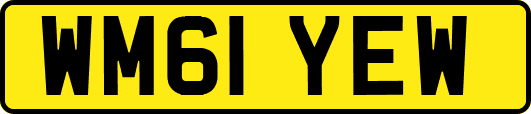 WM61YEW