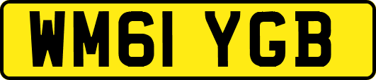WM61YGB