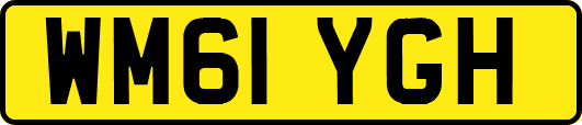 WM61YGH