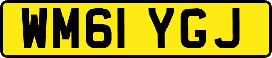 WM61YGJ