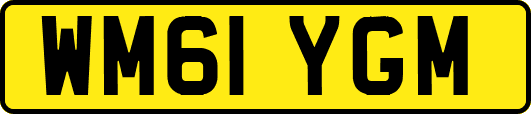WM61YGM