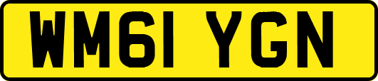 WM61YGN