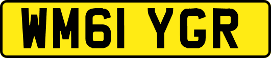 WM61YGR