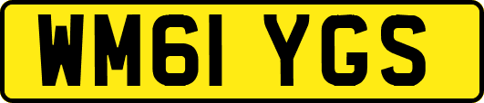 WM61YGS